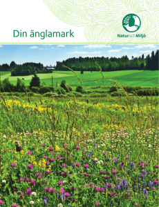 Din änglamark - Natur och miljö