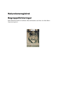 Paraloid - Naturstensregistret