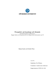 Perspektiv på kunskap och lärande