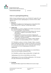 Avtal om uppdragsfotografering