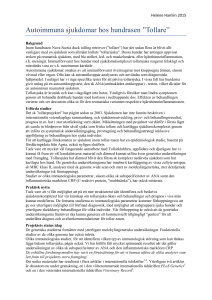 Autoimmuna sjukdomar hos hundrasen ”Tollare”