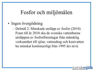 Marie Salomonsson Svensk Mjölk AB