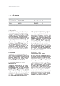 Stora Skärsjön
