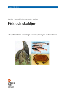 Metaller i fisk och skaldjur