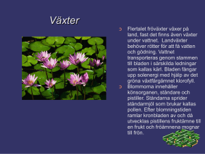 Presentation av nyhet