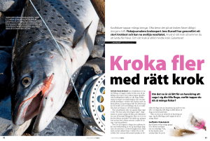Kustfiskare tappar många öringar. Ofta beror det på att kroken fäster