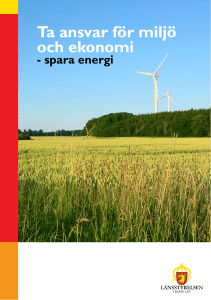 Ta ansvar för miljö och ekonomi