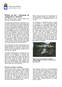 Effekten på fisk i vattendrag vid anläggande av