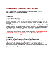 Information om Vinterkräksjukan (Calicivirus)