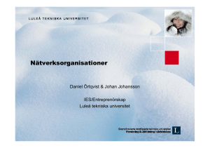 Nätverksorganisationer
