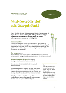 Vad innebär det att lita på Gud?