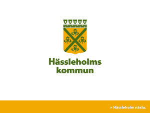 Drog- och brottsförebyggande presentation