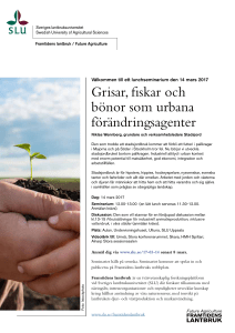 Grisar, fiskar och bönor som urbana förändringsagenter
