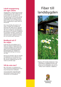 Fiber till landsbygden