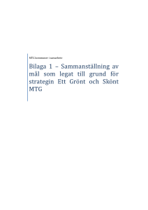 Bilaga 1 * Sammanställning av mål som legat till grund för strategin