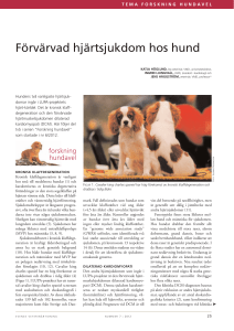 Förvärvad hjärtsjukdom hos hund