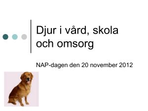 Djur i vård, skola och omsorg