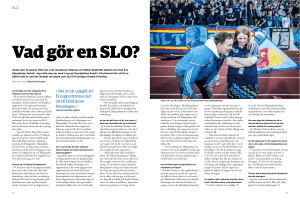 Det är vår uppgift att få supportrarnas röst att bli hörd inom