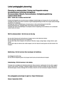 LPP Hoppolek