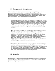 1.1 Energigivande näringsämnen. 1.2 Mineraler