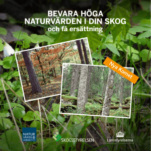 bevara höga naturvärden i din skog