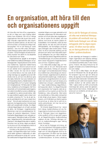 En organisation, att höra till den och organisationens uppgift