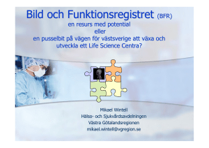 Bild och Funktionsregistret (BFR) en pusselbit på vägen för