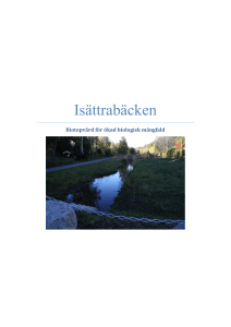 Isättrabäcken