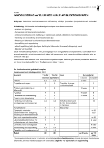 Journalföring och rapportering