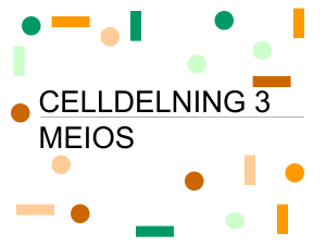 Mitos - Meios