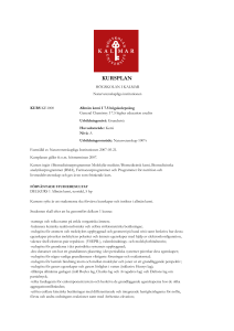kursplan - Visa program/kurs