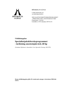 3 Beskrivning av programmet