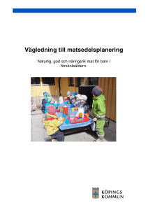 Vägledning till matsedelsplanering