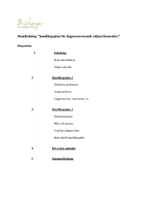 Handledning ”handlingsplan för lågpresterarande säljare/konsulter”