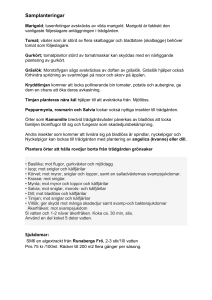 Samplanteringar Sjukdomar:
