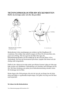 Bäckenbottenträning