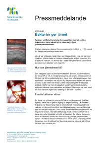 Microsoft Word - NRM_pm_järn