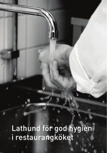 Lathund för god hygien i restaurangköket