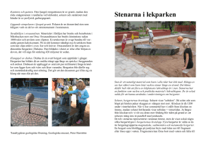 Stenarna i lekparken lekplatsen rev 110907 4sid