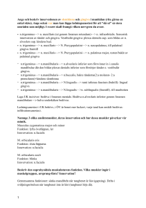 Exempel frågor - Odontologi-wiki