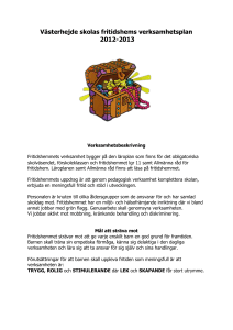 Skattkistans verksamhetsplan 2008-2009