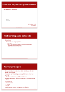 Problemskapande beteende Ansvarsprincipen