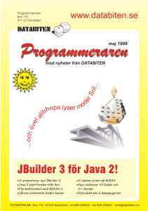 Programmeraren maj 1999