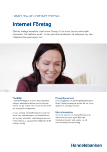 Internet Företag