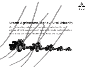 Om stadsodling, urban och peri-urban agrikultur, för en mindre