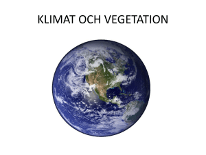 stäpp