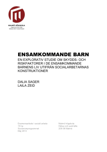 Bakgrundslitteraturen som samlats in i det tidigare