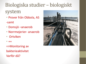 Elektrolytisk rening av avloppsvatten