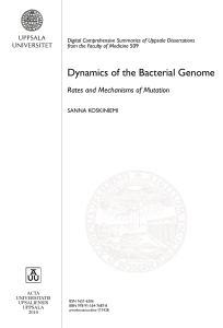 Dynamics of the Bacterial Genome: Rates and Mechanisms