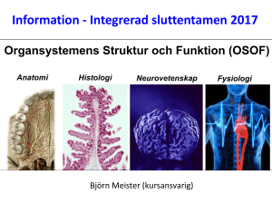 Information inför integrerad sluttentamen - Ping Pong